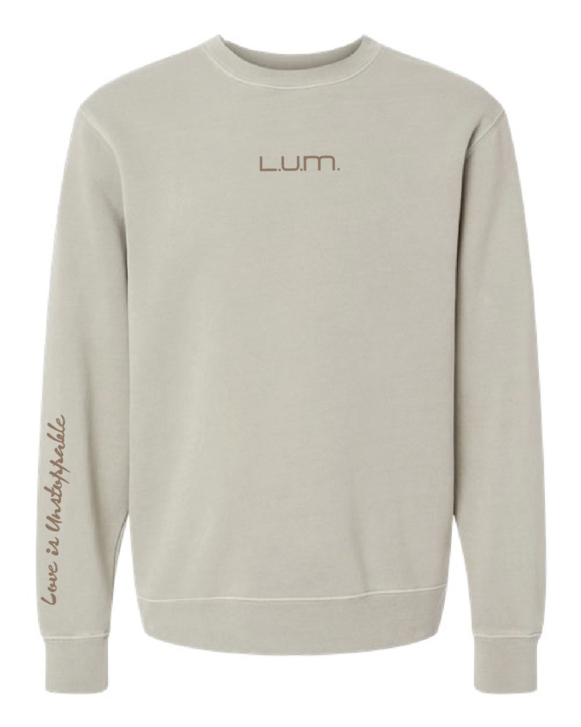 Midweight Pigment Dyed Crew Neck Sweatshirt with Stitched